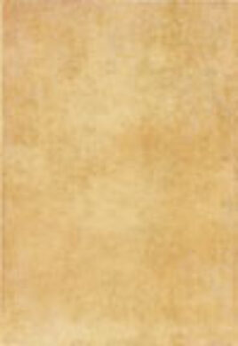 toscana beige 25/36,5 I.j.  (3200032010351)