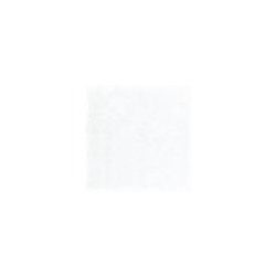 chilli 10/10 I.j.bílá GAR0K000 - ;inzerto k dlažbě interiérové bílé, PEI 4, rozměr 10x10, balení = 0,04m2 = 4ks