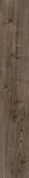 rio grande venge rect.14,5/89 I.j. - Dlažba v imitaci dřeva v tmavě hnědé barvě. Dlažba je vhodná do koupelny i do všech interiérů.
Formát =  14,5 × 89 cm
Barva = tmavě hnědá
1 Balení =  0,77 m2
Povrch = matný