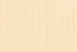 fantastic beige 25/36,5 I.j. - obklad rozmr 25x36,5 cm; balen 1,74 m2